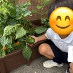 6月23日(月)☔梅雨を吹き飛ばそう！