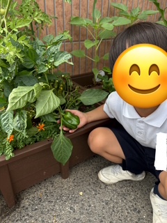 6月23日(月)☔梅雨を吹き飛ばそう!