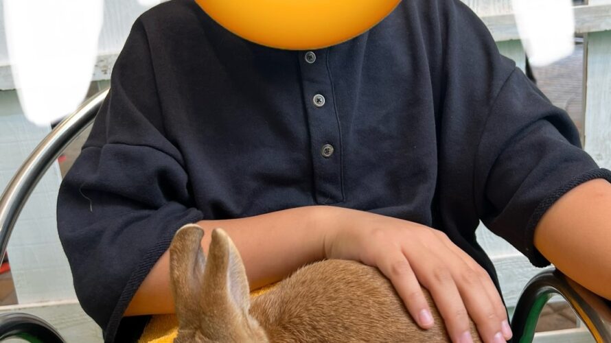 10月11日(土)触ってみよう🐰