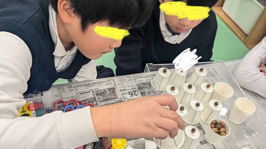 11月25日（火）どんぐりころころ🎵