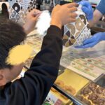 ４月６日（月）ドーナツを買いに行こう🍩