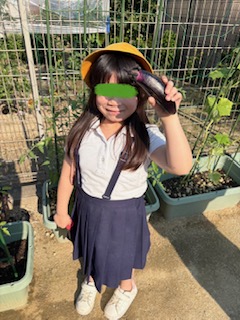 6月29日（月）七夕飾りを作ろう🎋