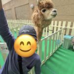 10月17日(土)ミニ動物園に行こう🐇🐶🐢🐤